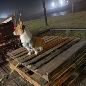 Meet your Posher, Taylor